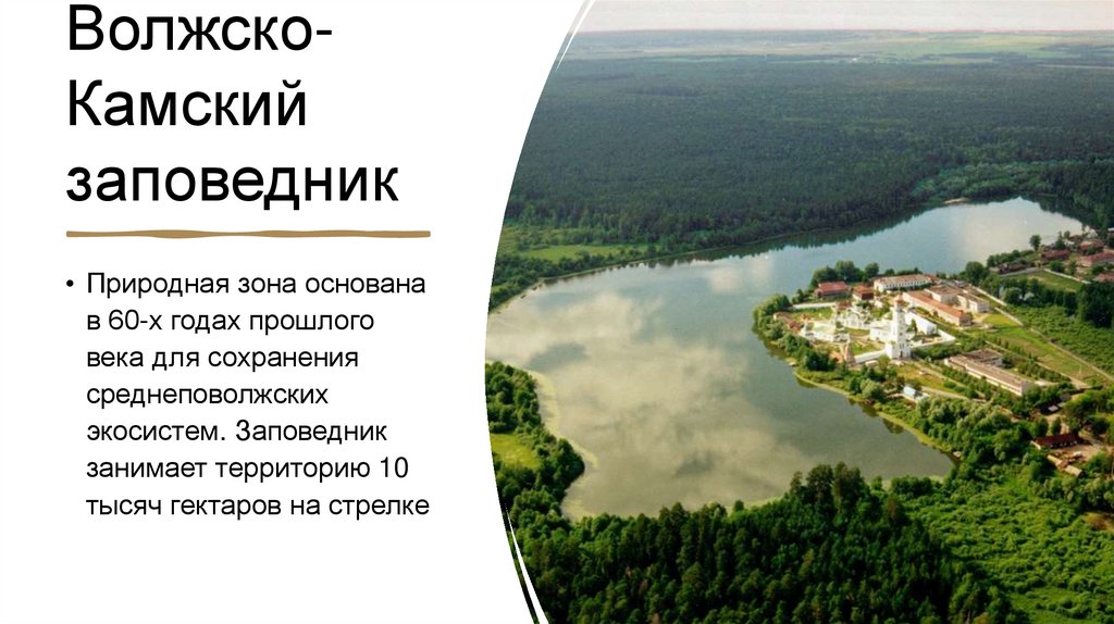 Волжско-Камский заповедник