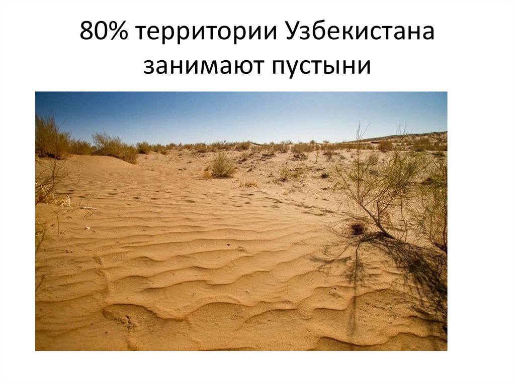 80% территории Узбекистана занимают пустыни