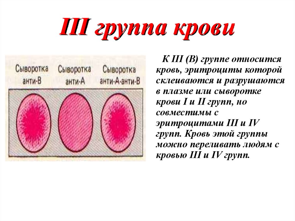 III группа крови