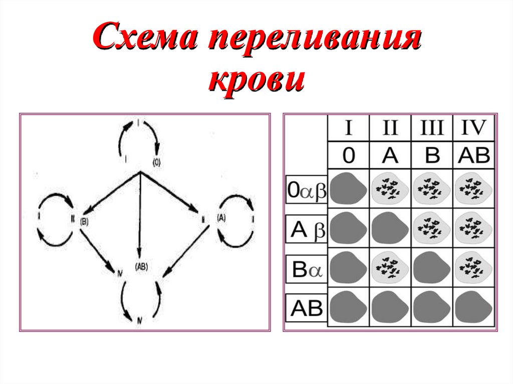 Схема переливания крови