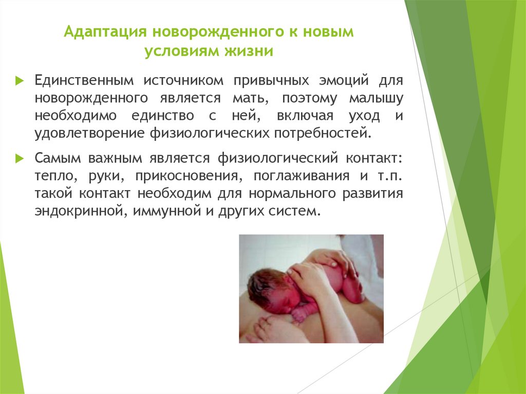 Адаптация новорожденного к новым условиям жизни
