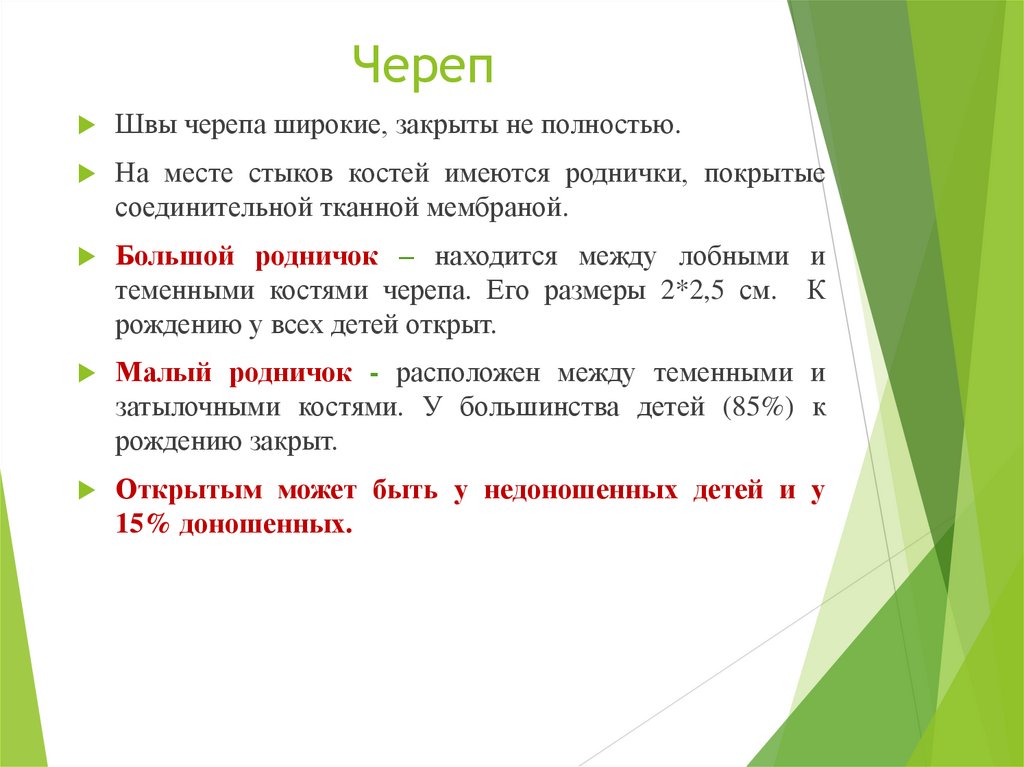 Череп