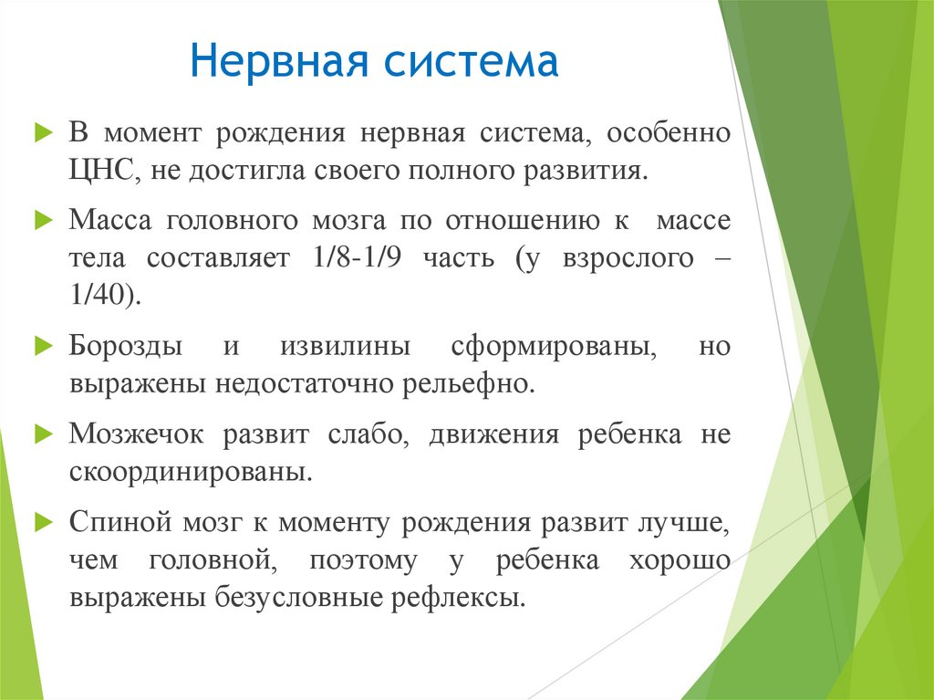 Нервная система