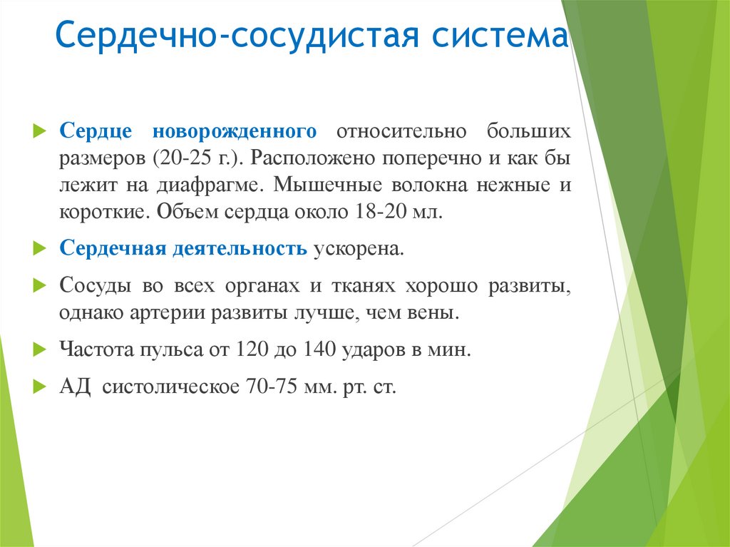 Сердечно-сосудистая система