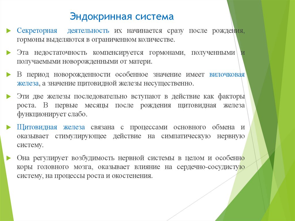 Эндокринная система