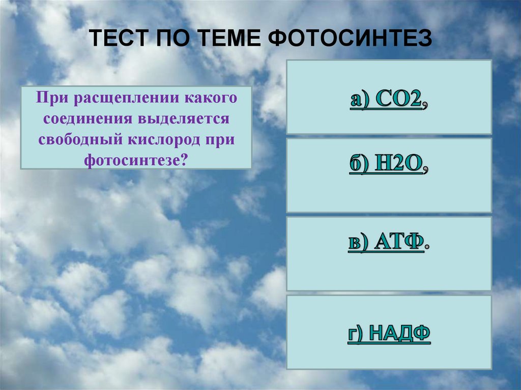 ТЕСТ ПО ТЕМЕ ФОТОСИНТЕЗ