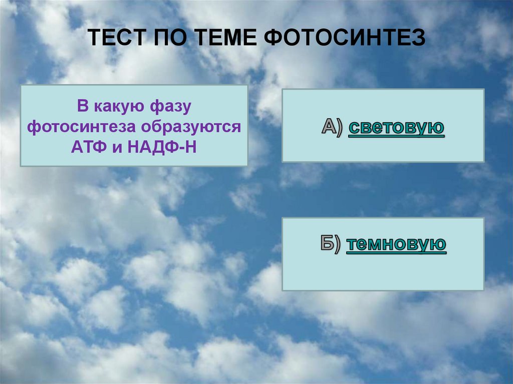 ТЕСТ ПО ТЕМЕ ФОТОСИНТЕЗ