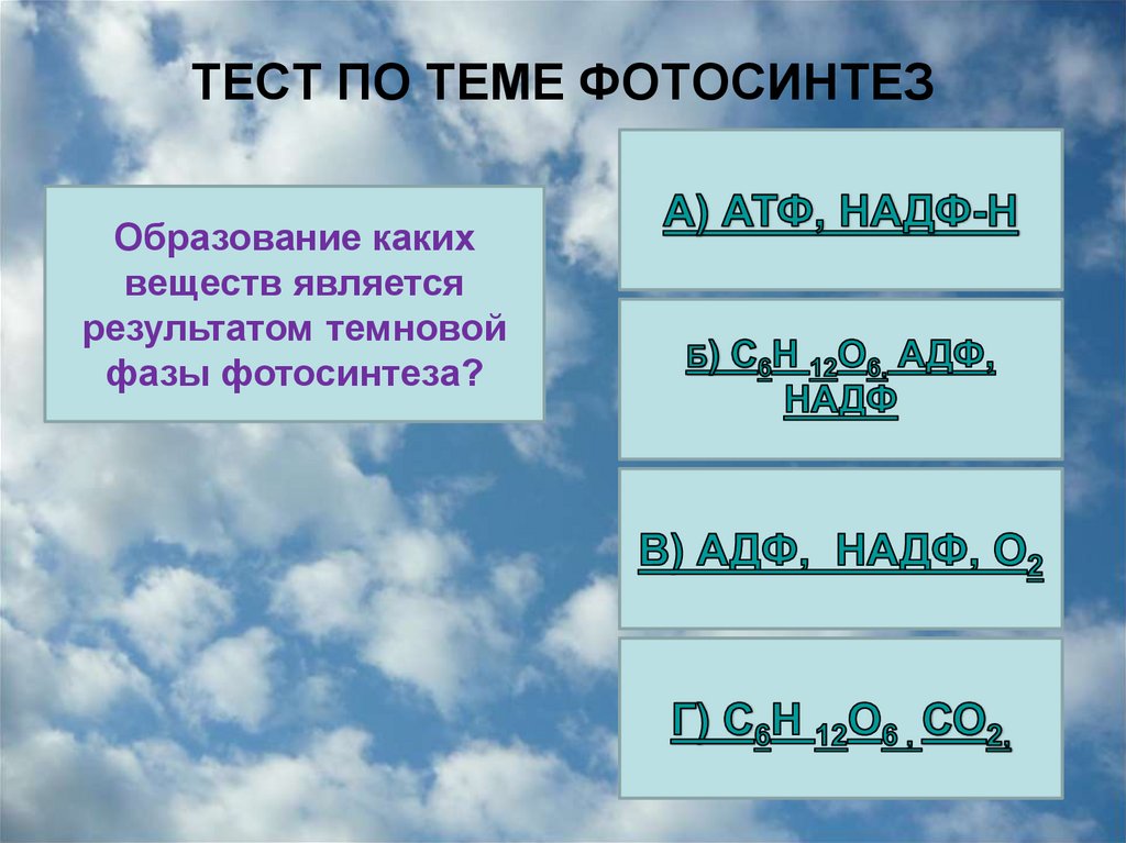 ТЕСТ ПО ТЕМЕ ФОТОСИНТЕЗ