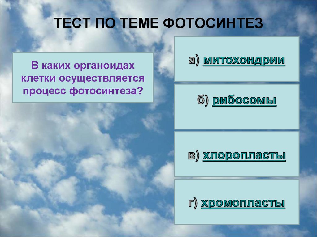 ТЕСТ ПО ТЕМЕ ФОТОСИНТЕЗ