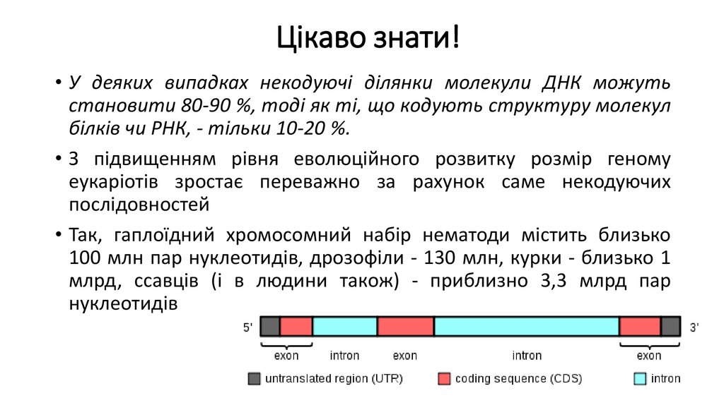 Цікаво знати!