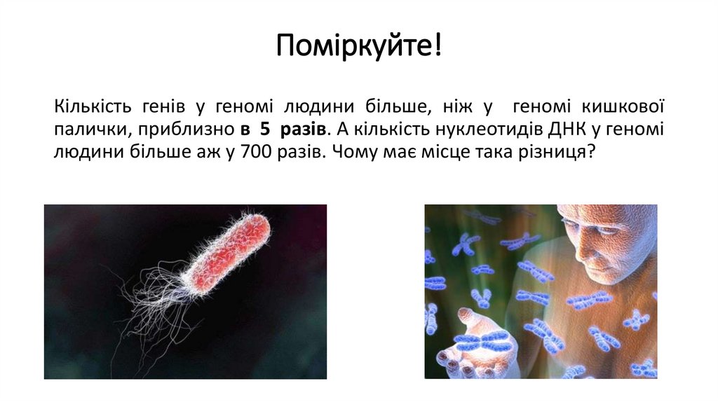 Поміркуйте!
