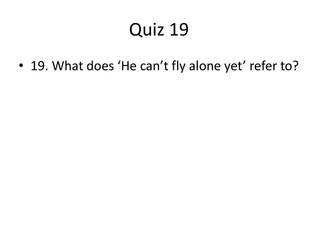 Quiz 19