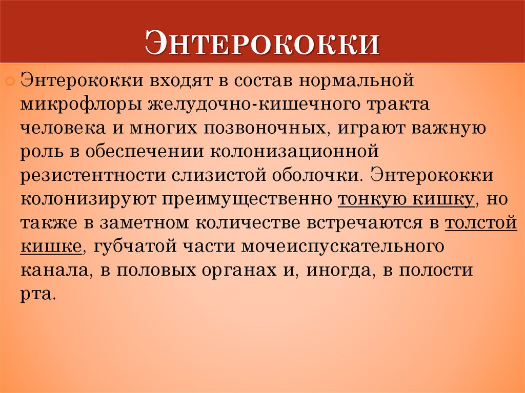 Энтерококки