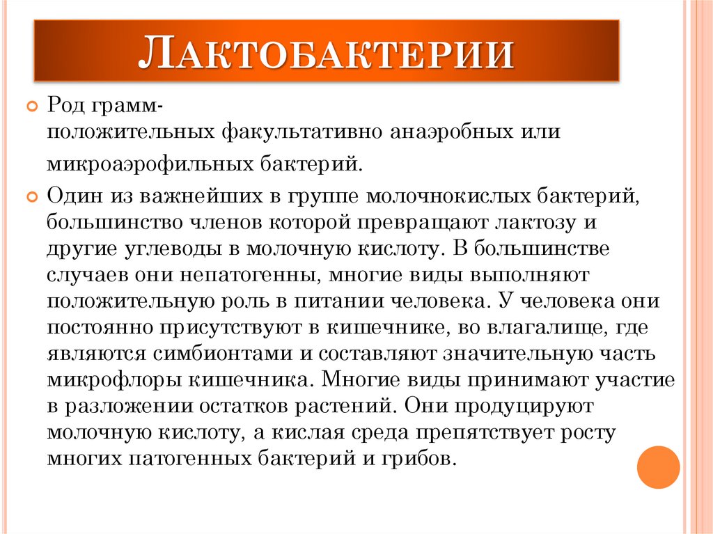 Лактобактерии