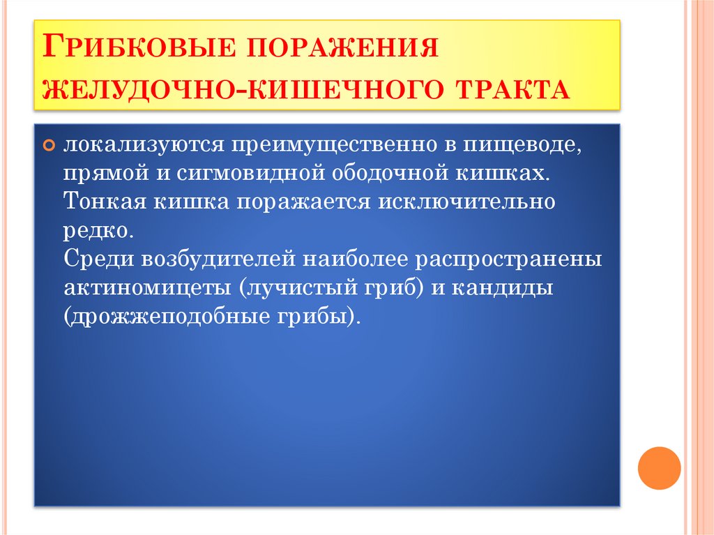 Грибковые поражения желудочно-кишечного тракта