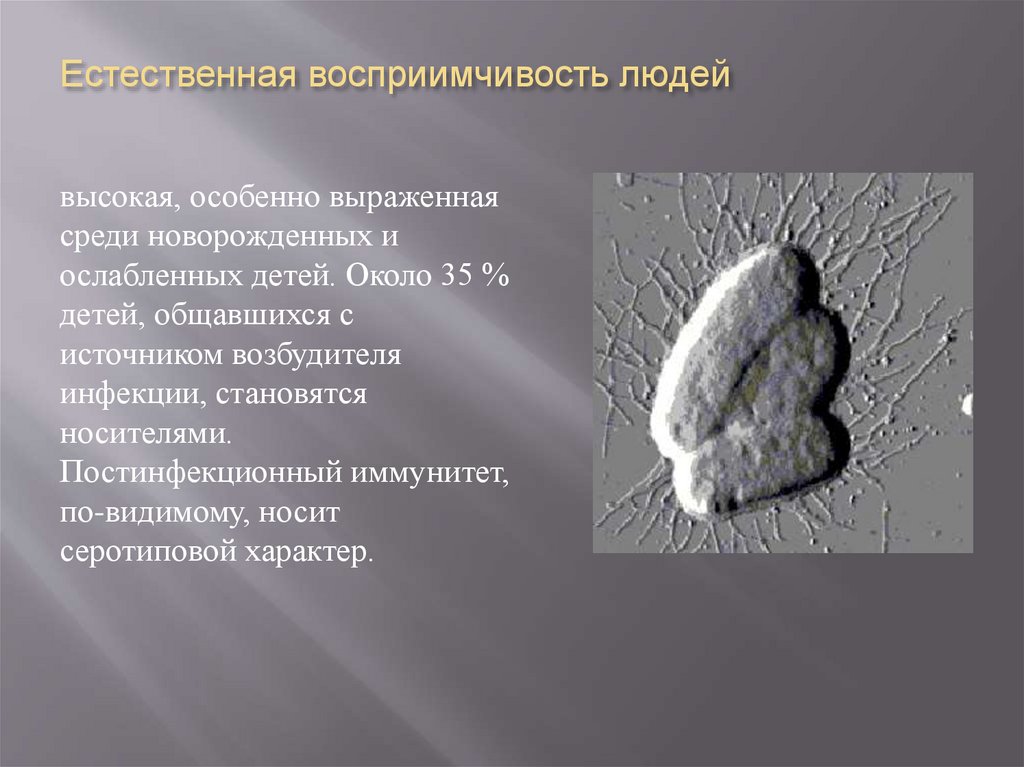 Естественная восприимчивость людей