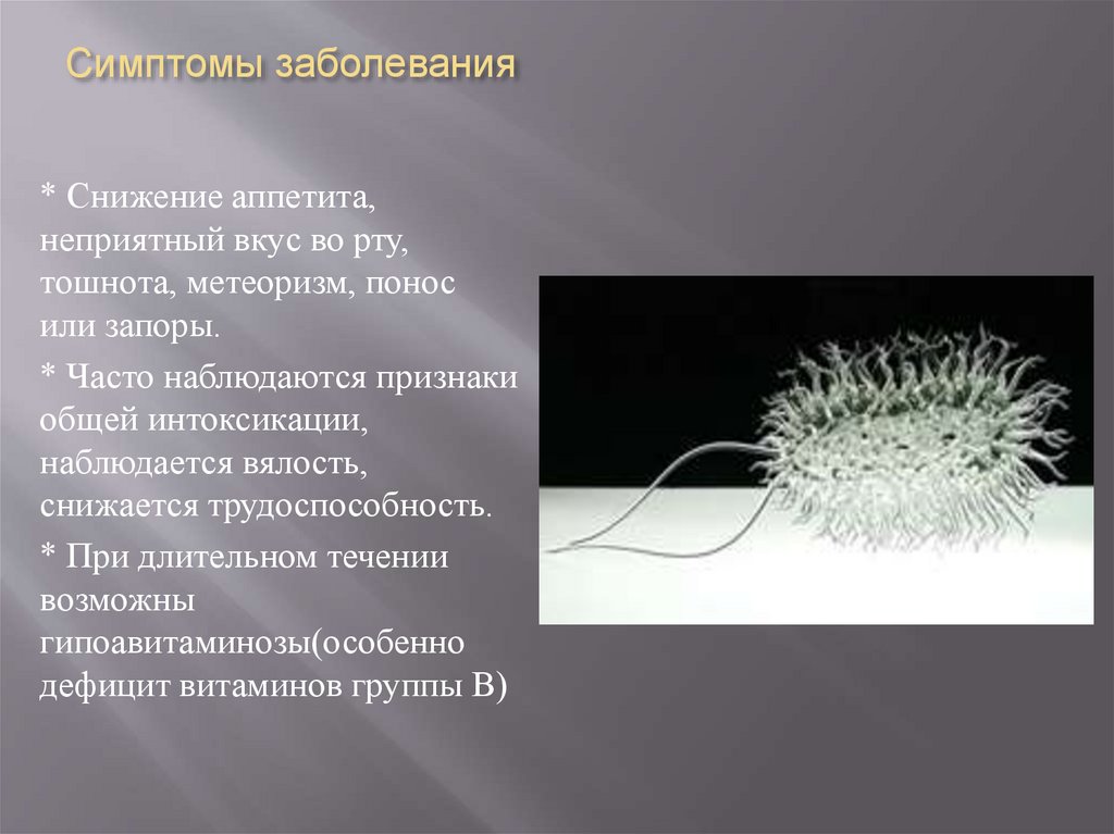 Симптомы заболевания