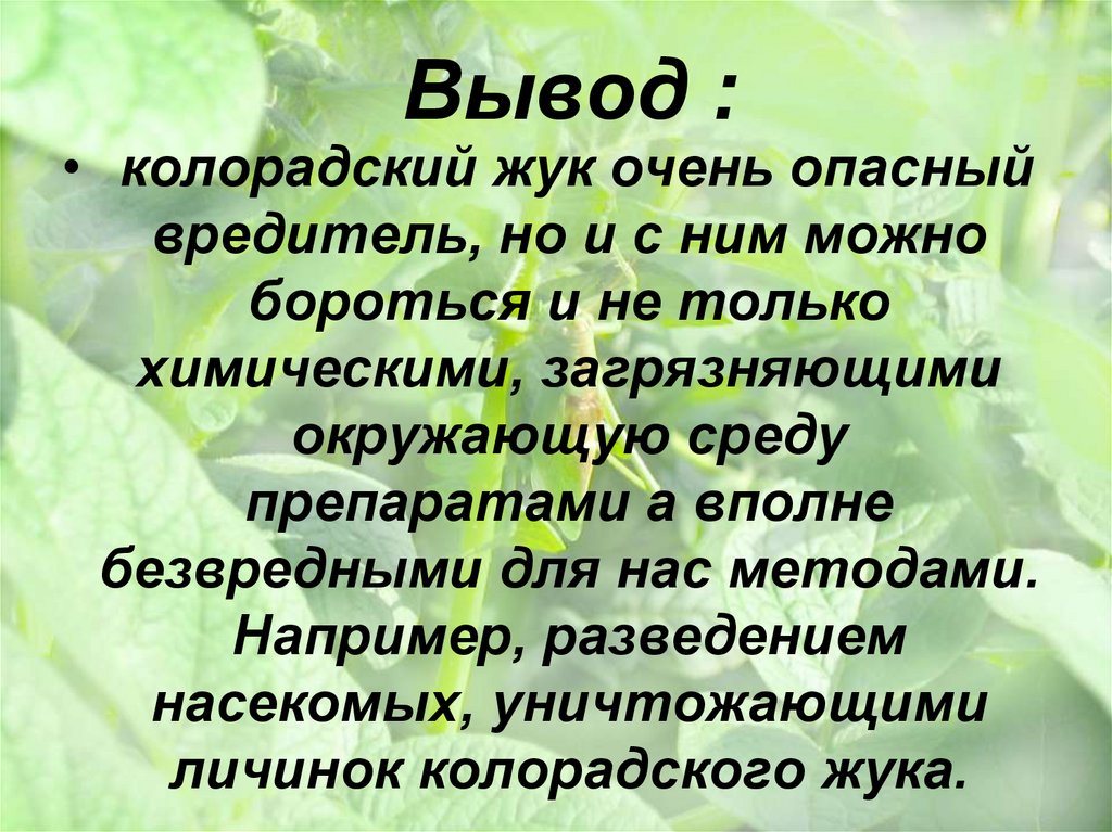 Вывод :