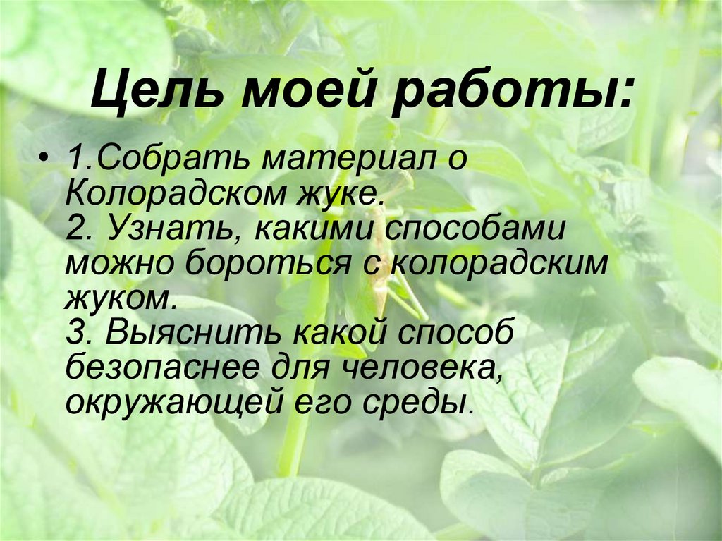 Цель моей работы: