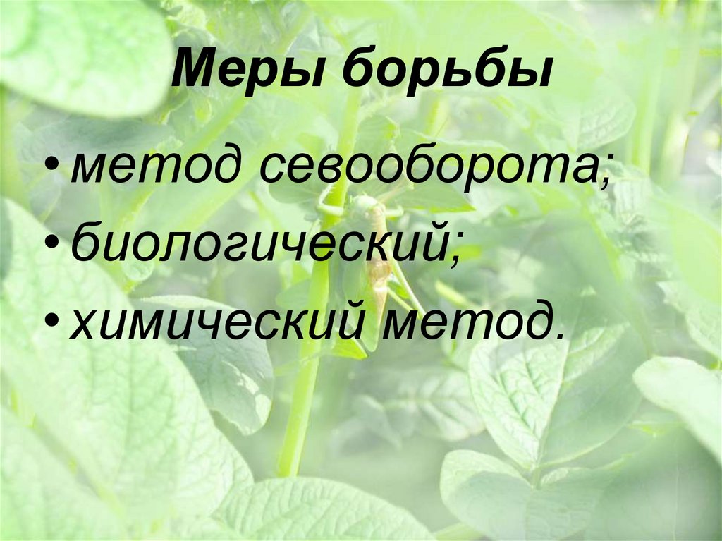 Меры борьбы
