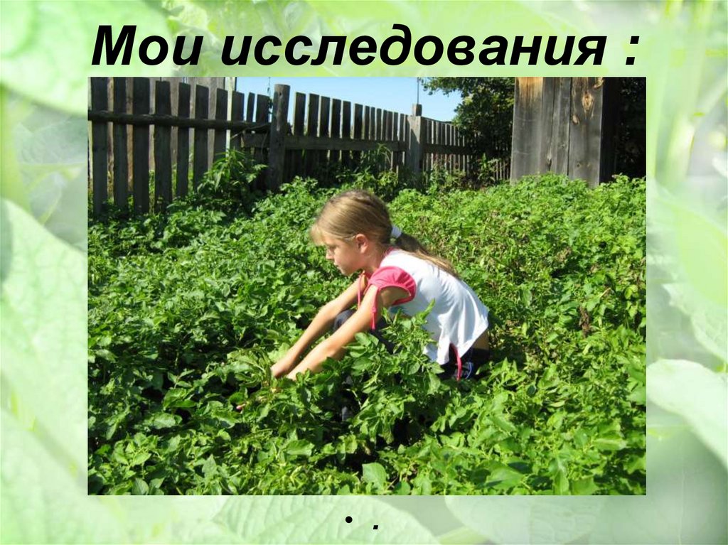 Мои исследования :