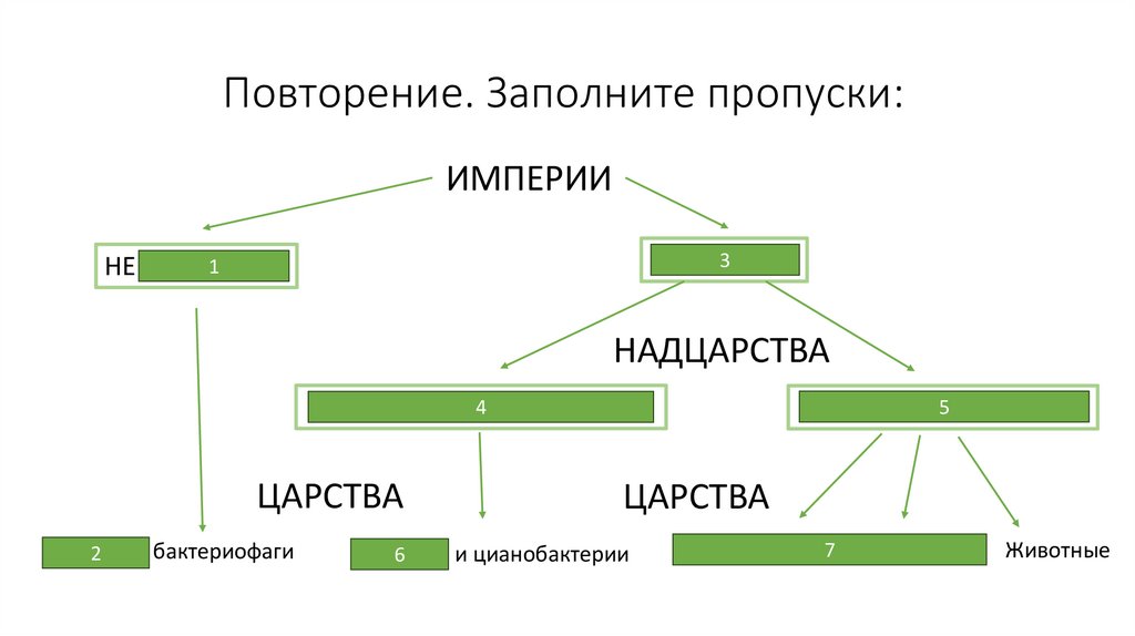 Повторение. Заполните пропуски:
