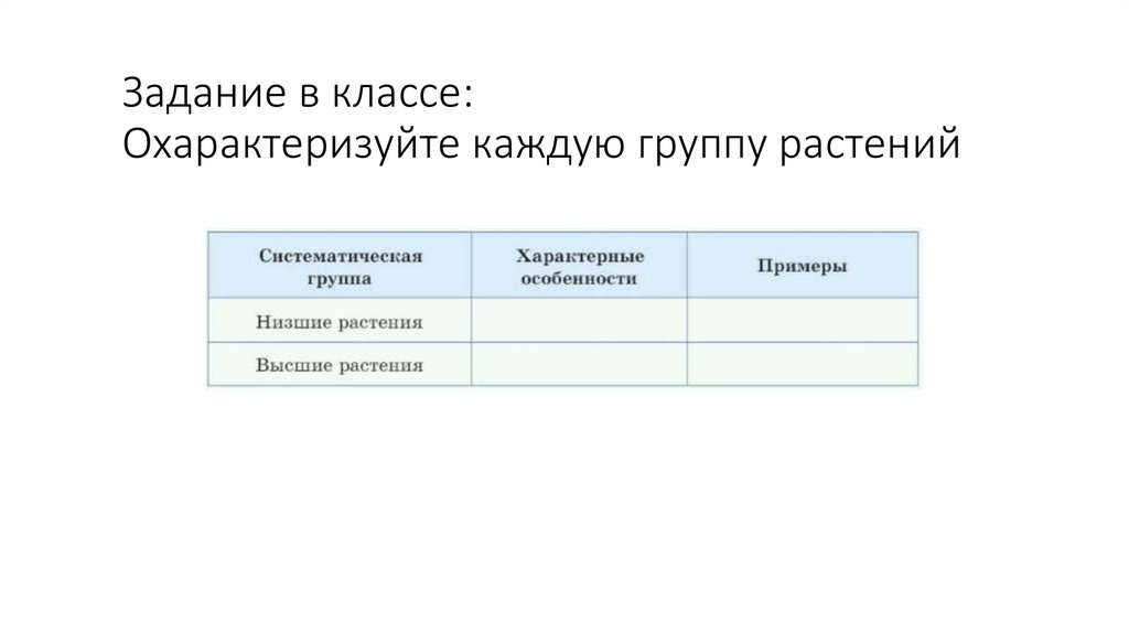 Задание в классе: Охарактеризуйте каждую группу растений
