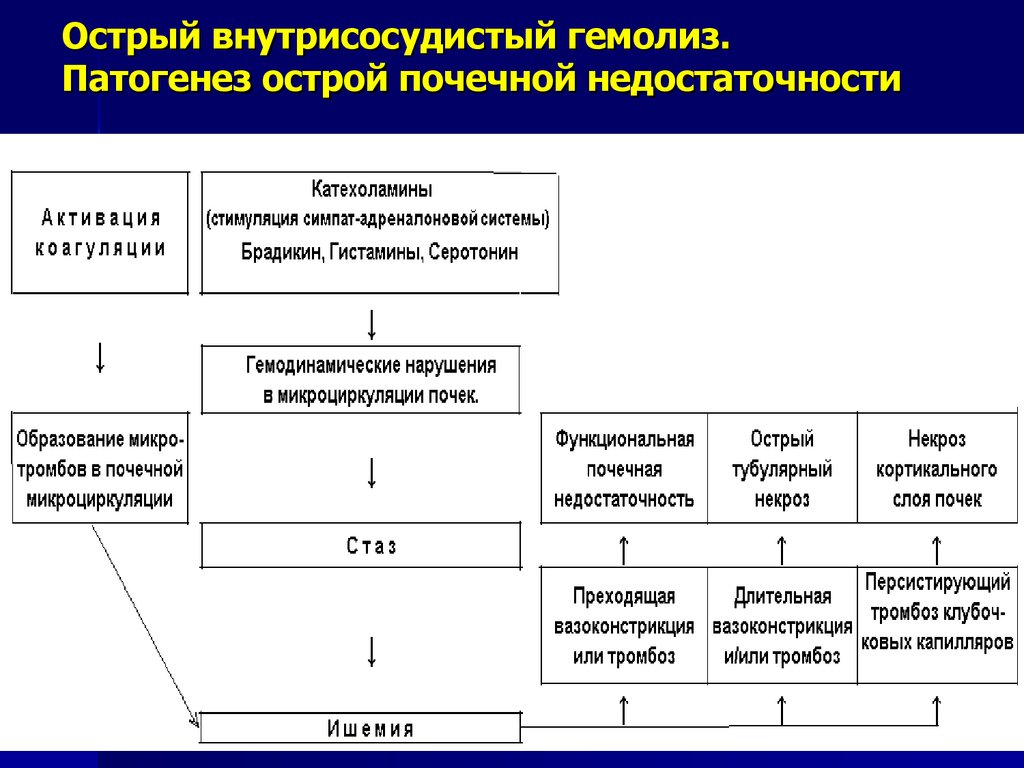 Острый внутрисосудистый гемолиз. Патогенез острой почечной недостаточности