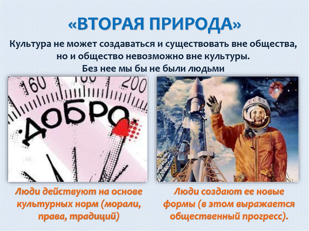 «ВТОРАЯ ПРИРОДА»