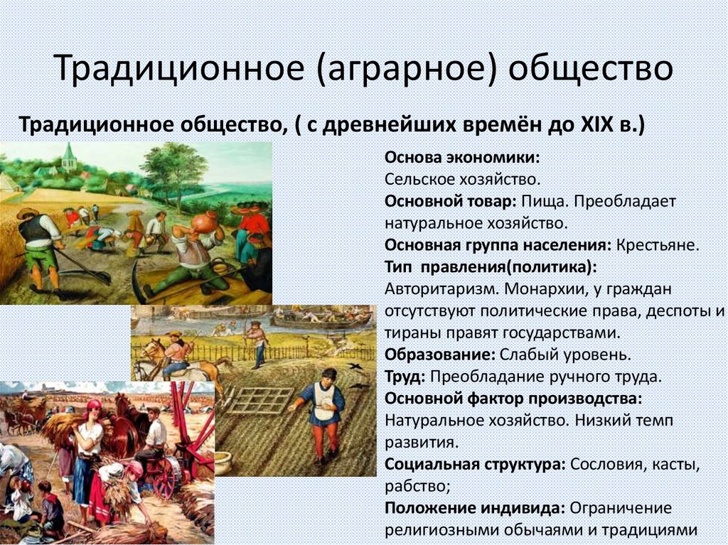 Традиционное (аграрное) общество