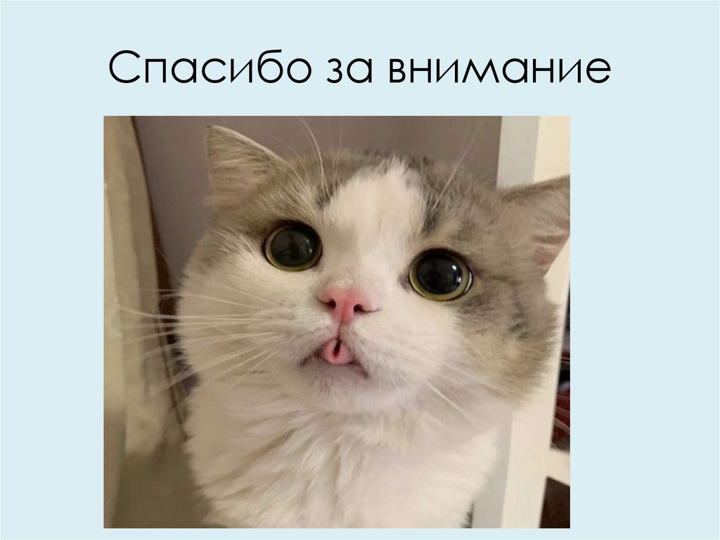 Спасибо за внимание