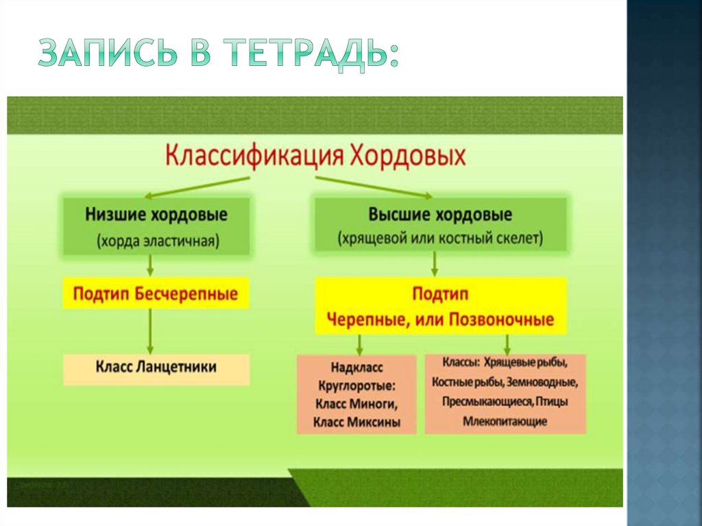 Запись в тетрадь: