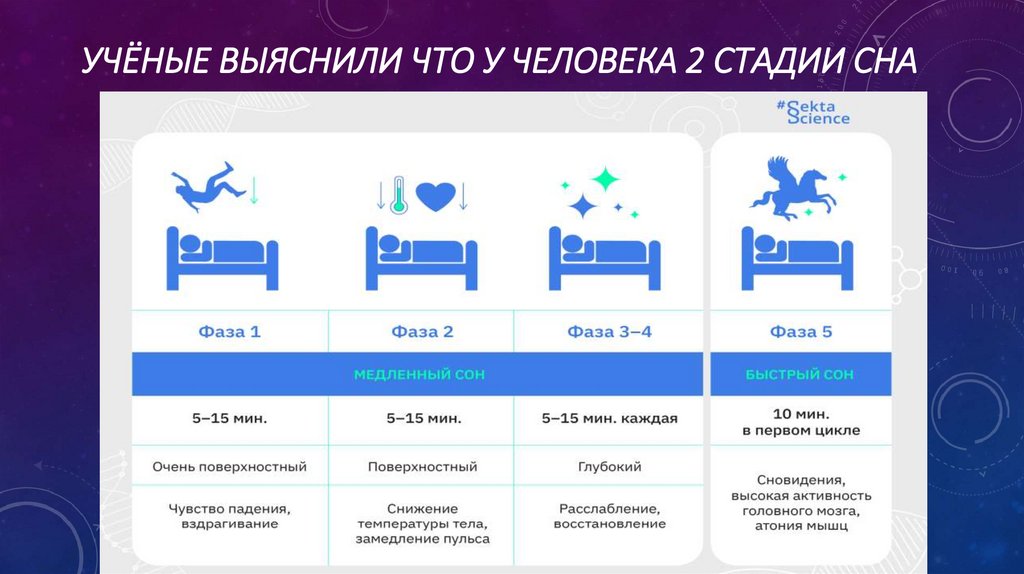 Учёные выяснили что у человека 2 стадии сна