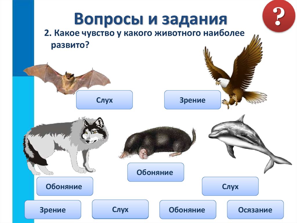 Вопросы и задания