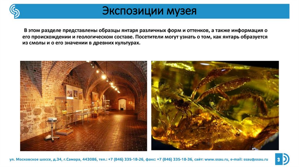 Экспозиции музея