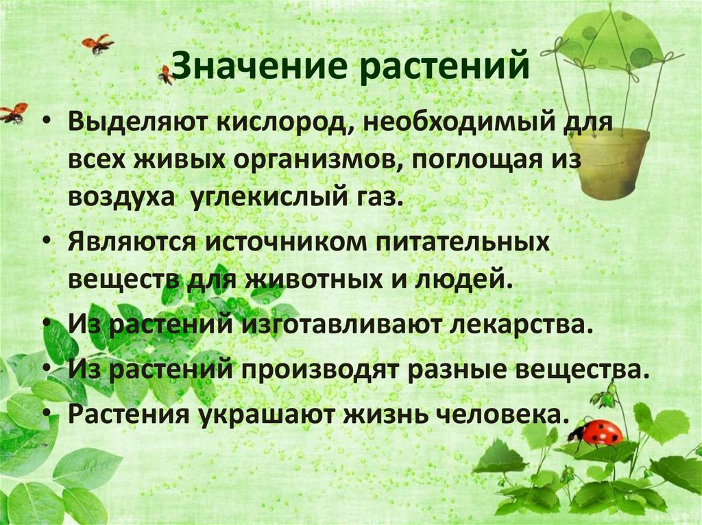 Значение растений