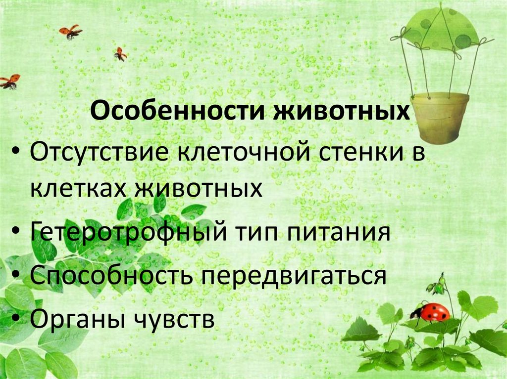 Особенности животных