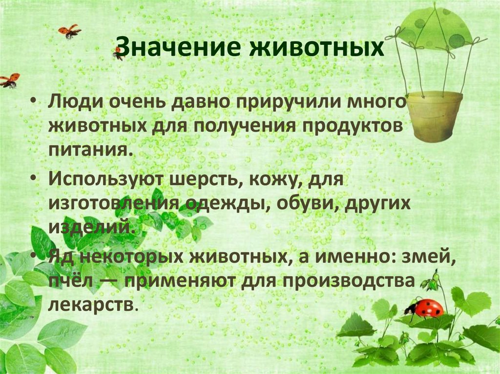 Значение животных