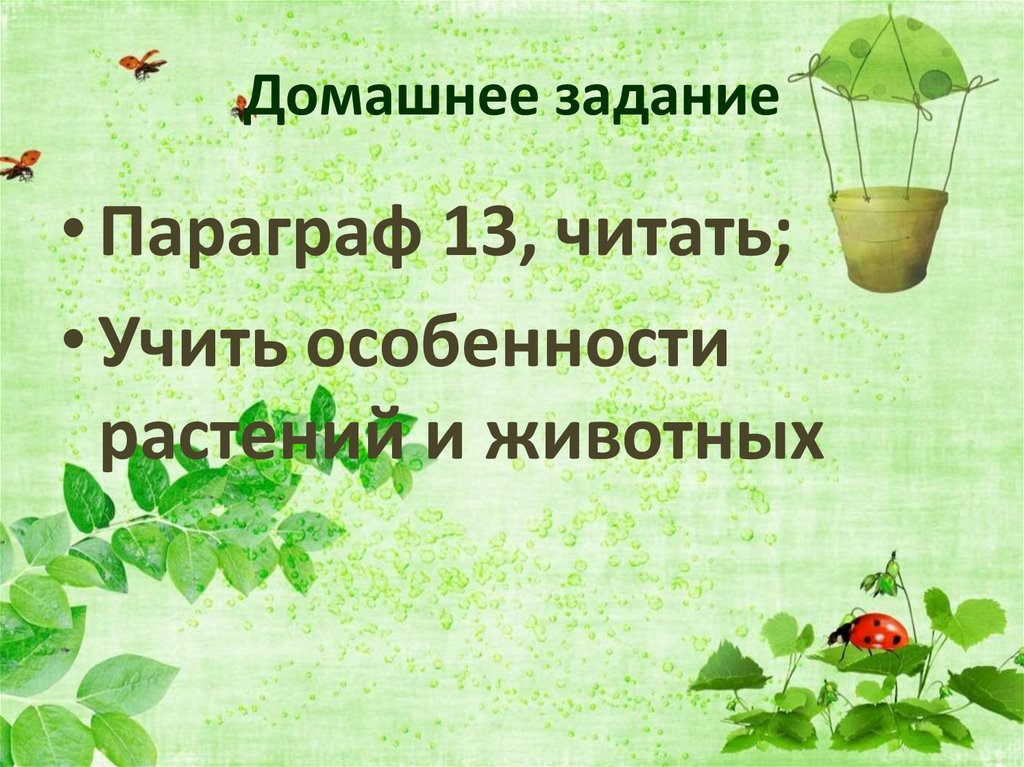 Домашнее задание