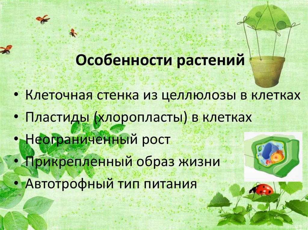 Особенности растений