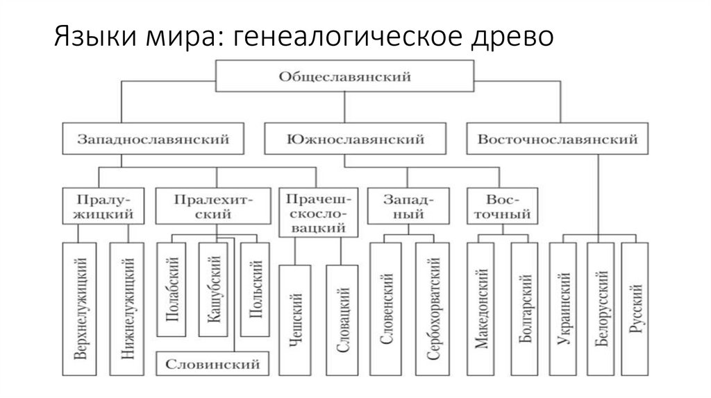 Языки мира: генеалогическое древо