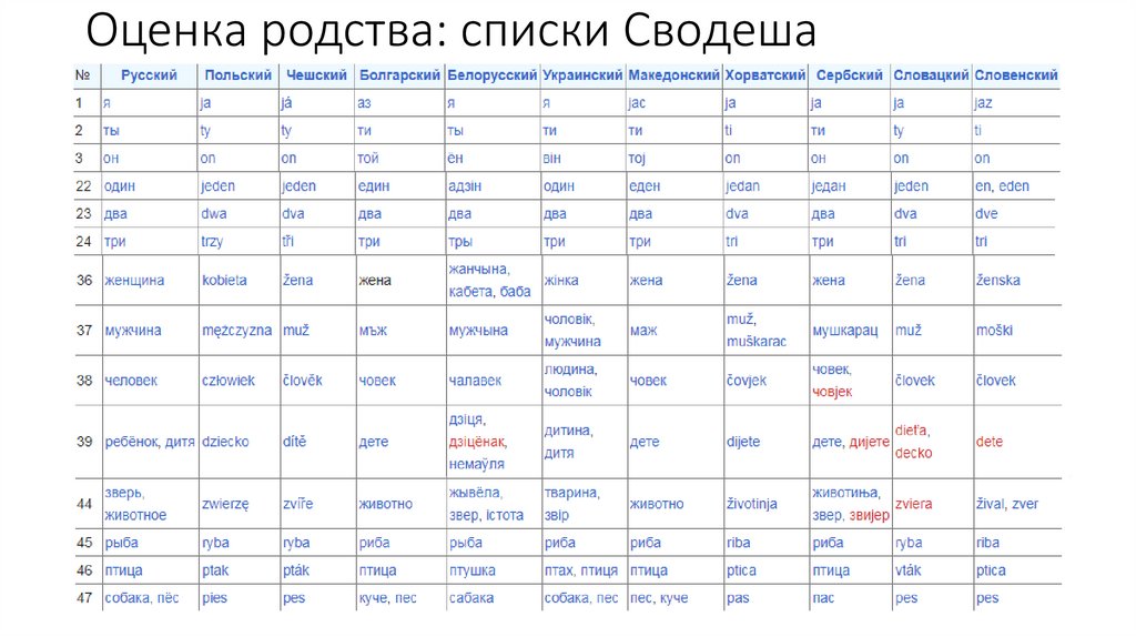 Оценка родства: списки Сводеша