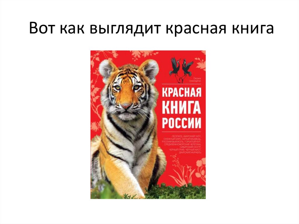 Вот как выглядит красная книга