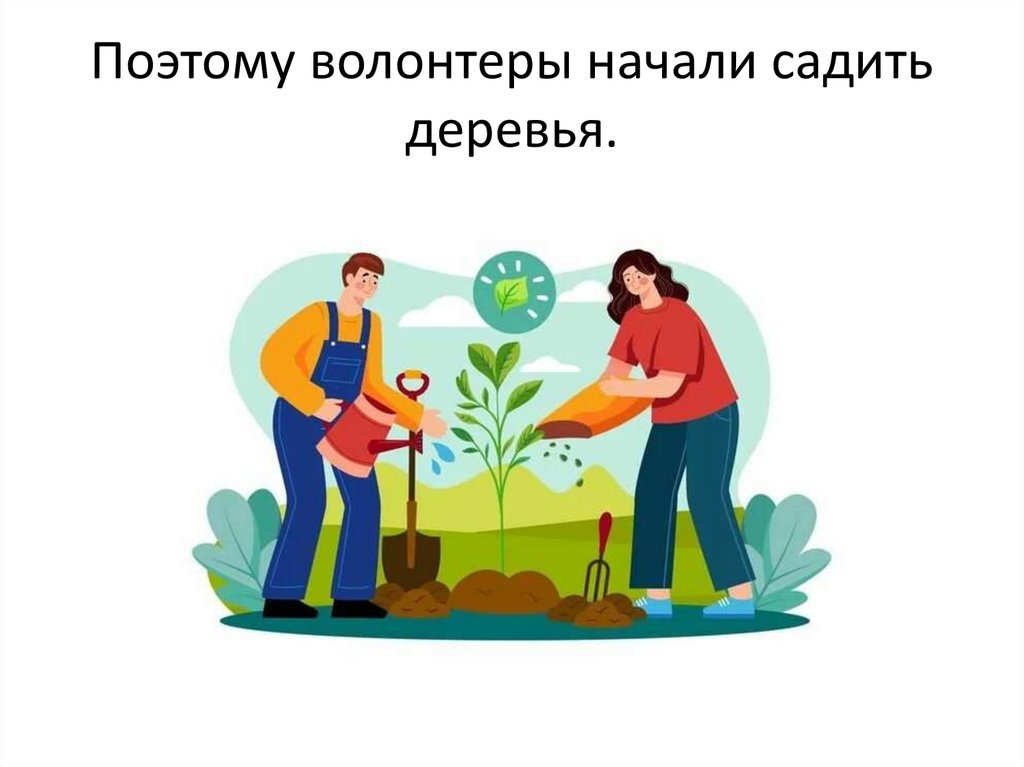 Поэтому волонтеры начали садить деревья.