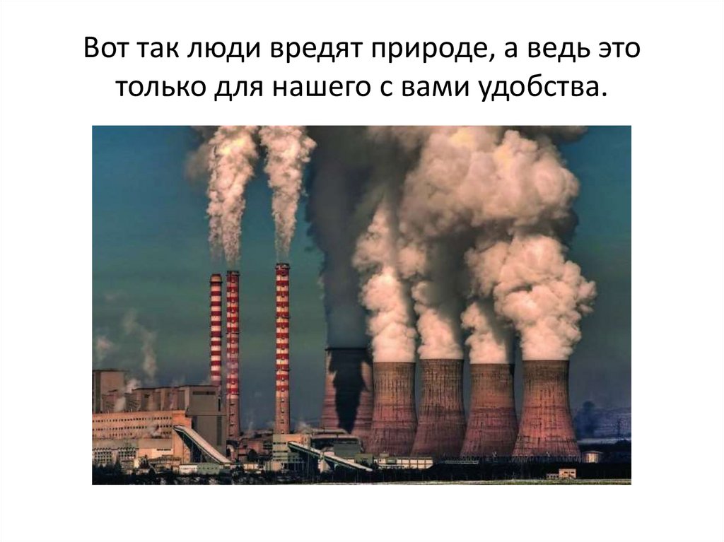 Вот так люди вредят природе, а ведь это только для нашего с вами удобства.
