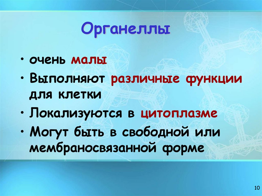 Oрганеллы