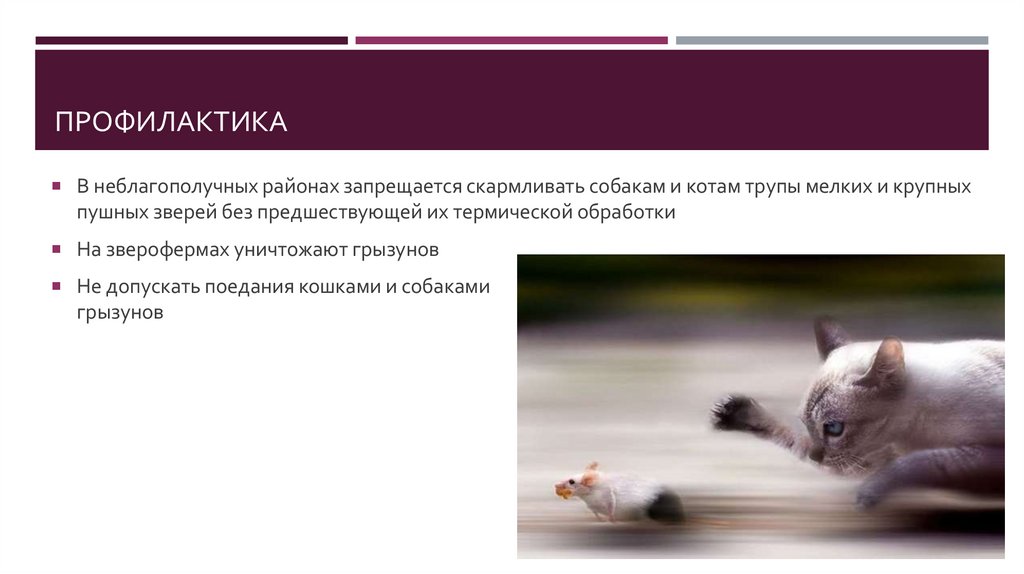 профилактика