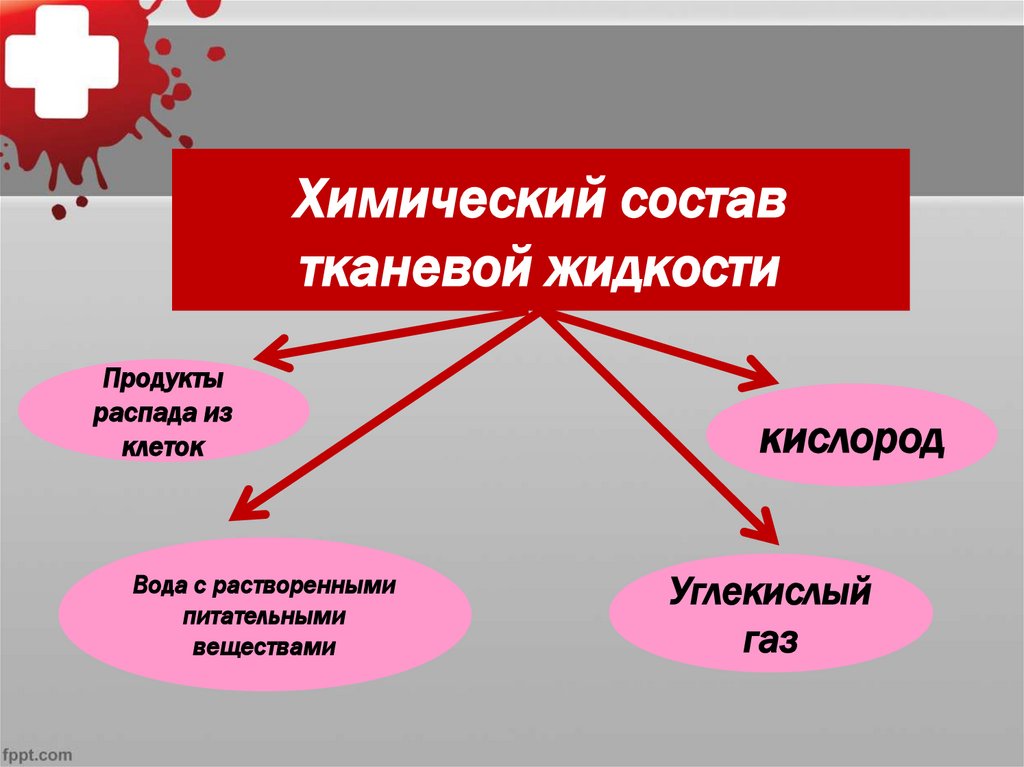 Химический состав тканевой жидкости