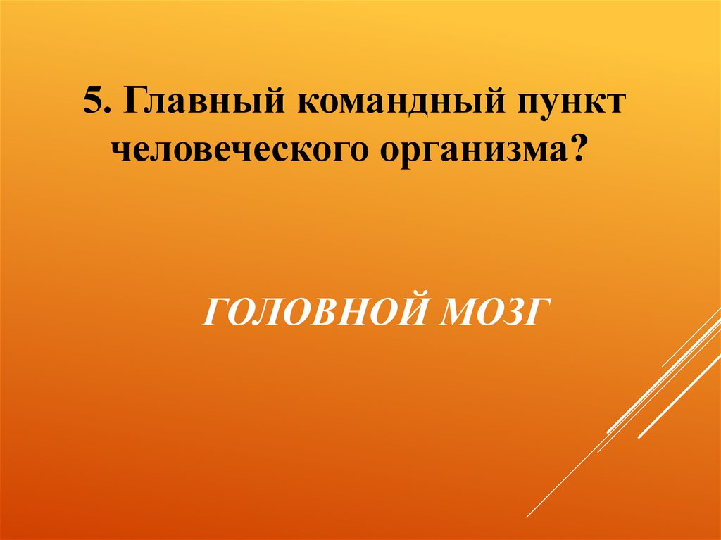 ГОЛОВНОЙ МОЗГ