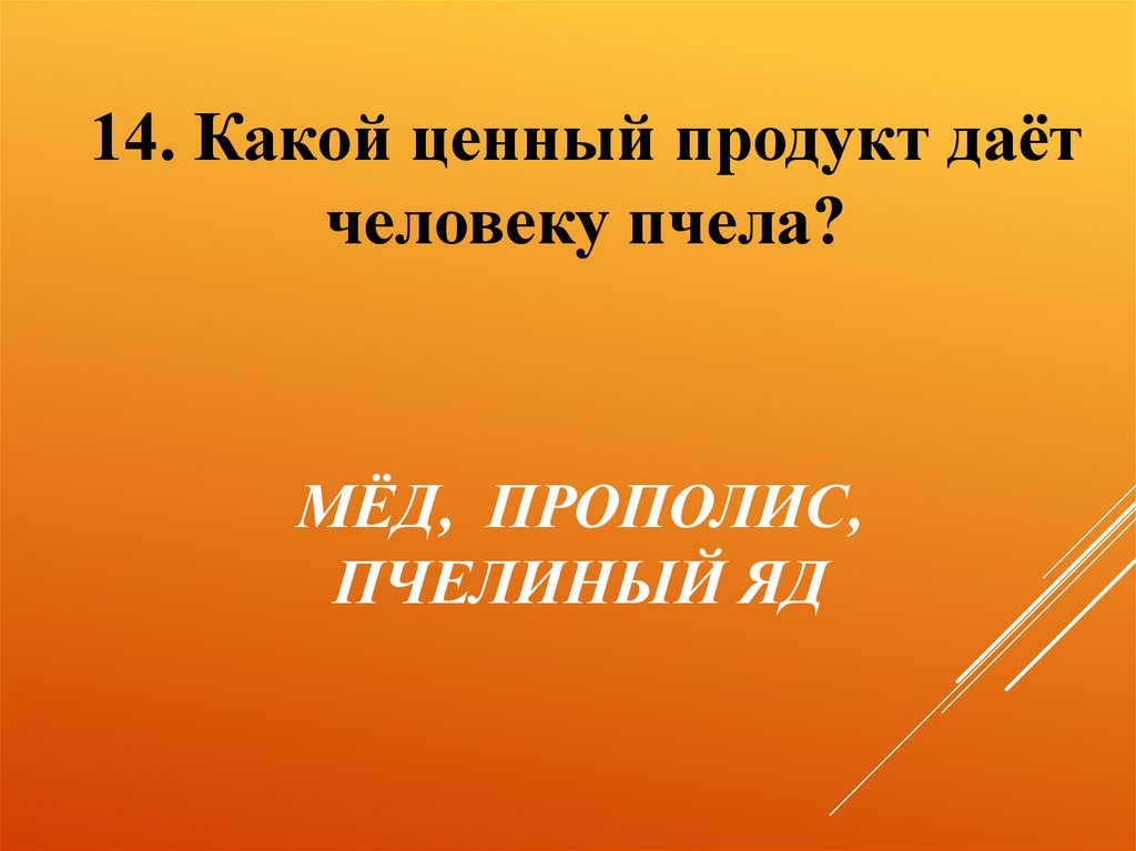 МЁД, ПРОПОЛИС, ПЧЕЛИНЫЙ ЯД